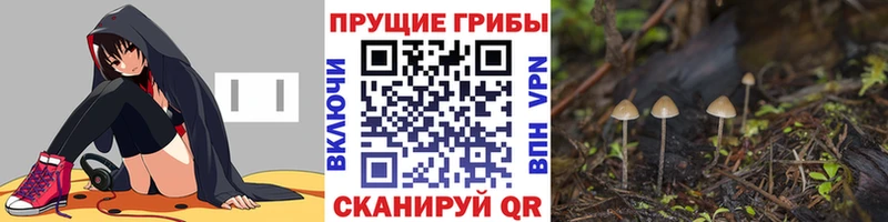даркнет какой сайт  Гороховец  Галлюциногенные грибы ЛСД 