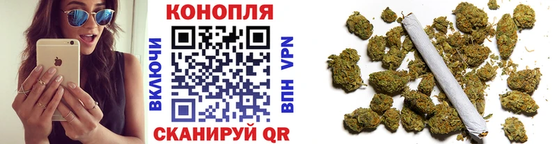 Конопля марихуана  Гороховец 